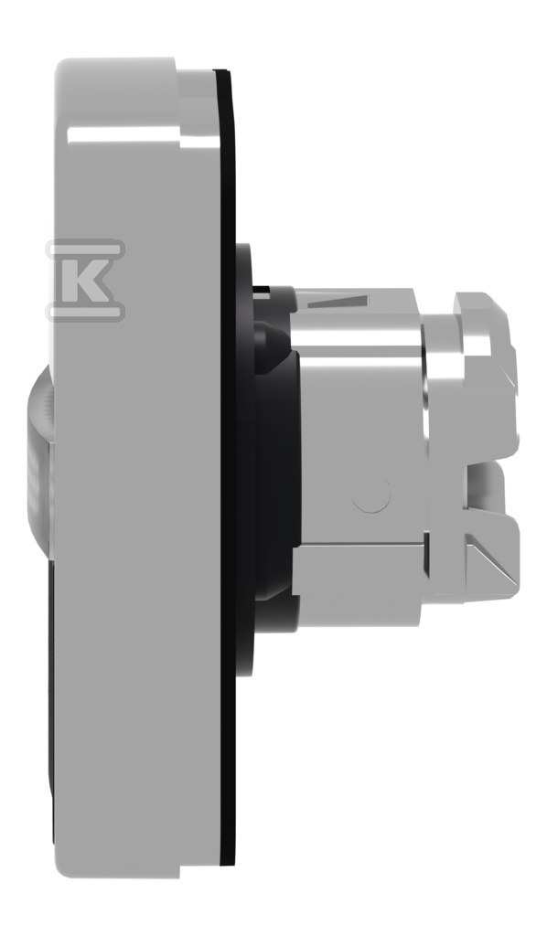 Pushbutton actuator, two-gang, flat, - ZB4BW7A1724